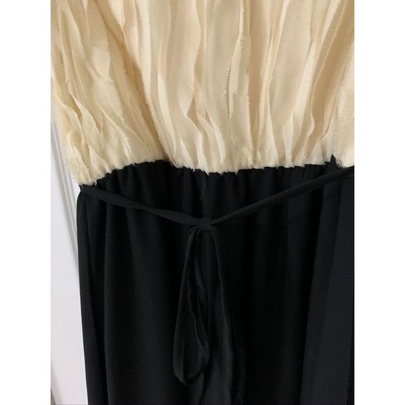 Charming Charlie Dress - Picture 4 of 5